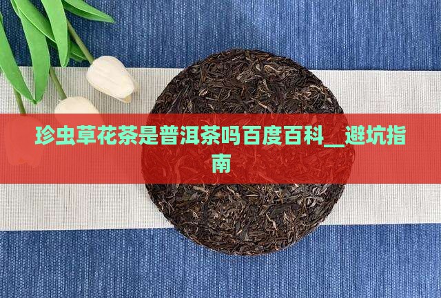 珍虫草花茶是普洱茶吗百度百科