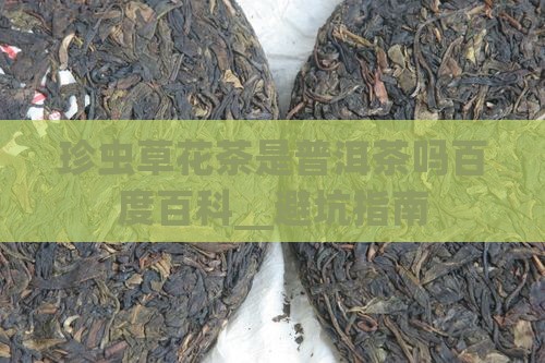 珍虫草花茶是普洱茶吗百度百科