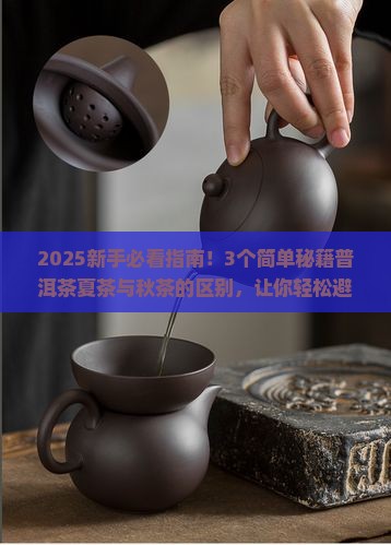 普洱茶夏茶与秋茶的区别是什么