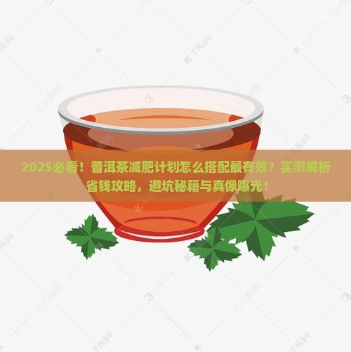 普洱茶配什么减肥计划
