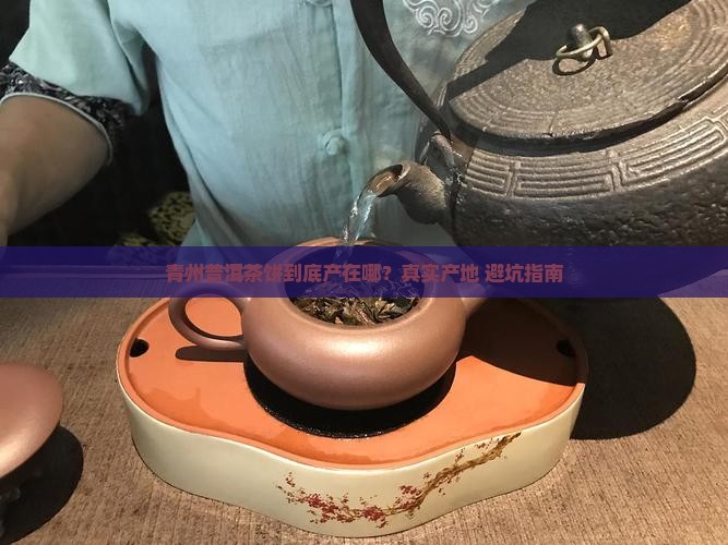 青州普洱茶饼产地