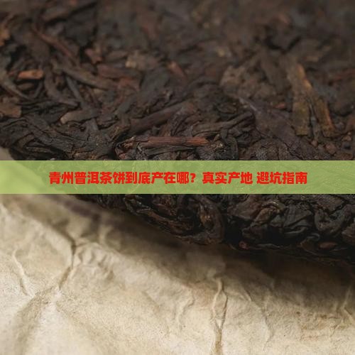 青州普洱茶饼产地