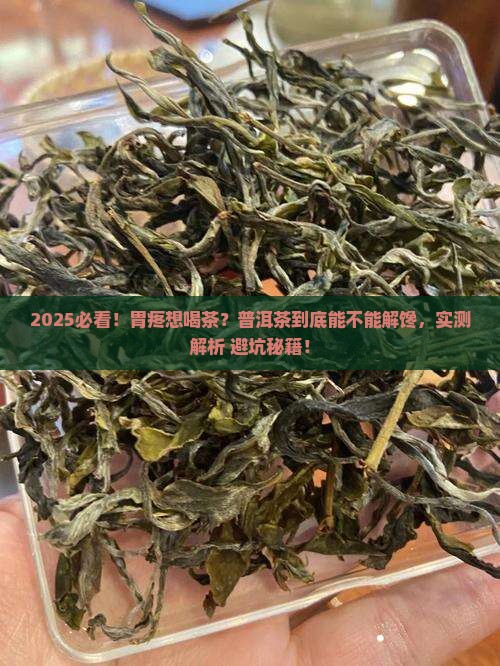 胃部饥饿痛能不能喝普洱茶