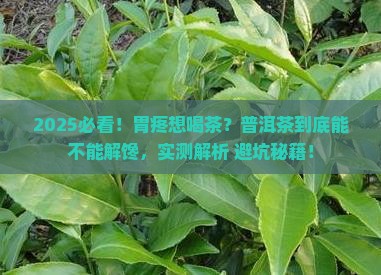 胃部饥饿痛能不能喝普洱茶