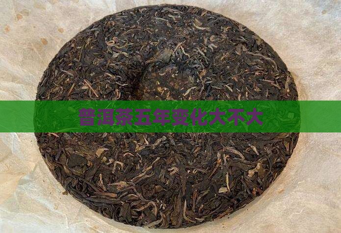 普洱茶五年变化