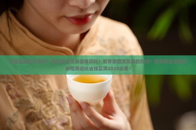 紫芽茶普洱茶好吗