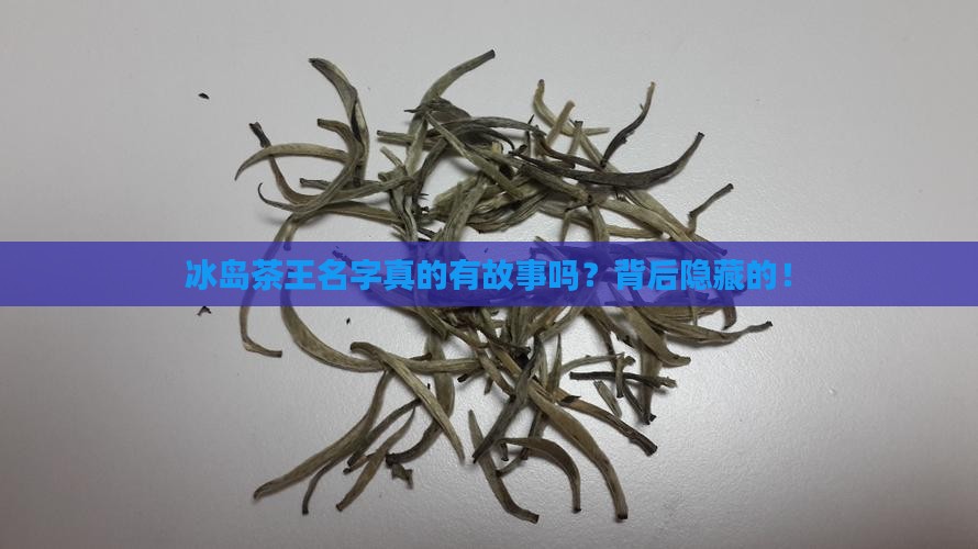 冰岛茶王名字的由来和含义