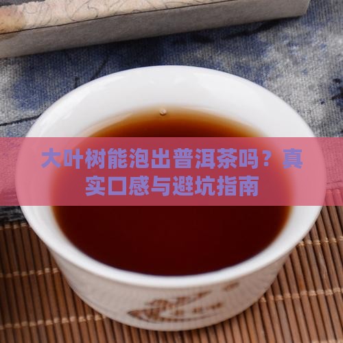 大叶树可以当普洱茶吗