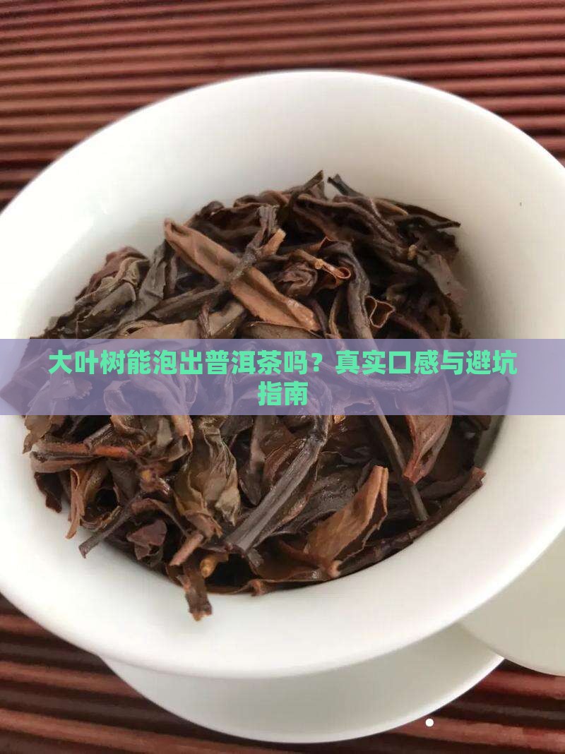 大叶树可以当普洱茶吗