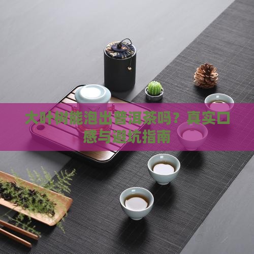 大叶树可以当普洱茶吗