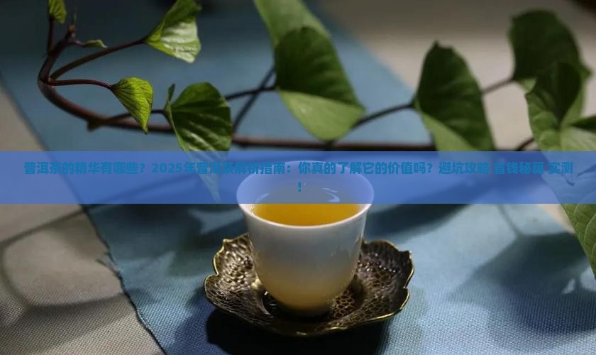普洱茶的精华有哪些 普洱茶的精华有哪些