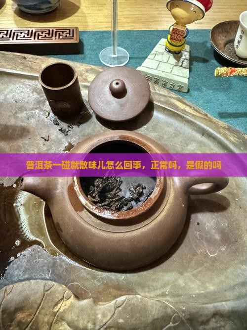普洱茶一碰就散味儿