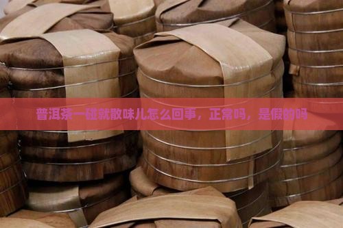 普洱茶一碰就散味儿