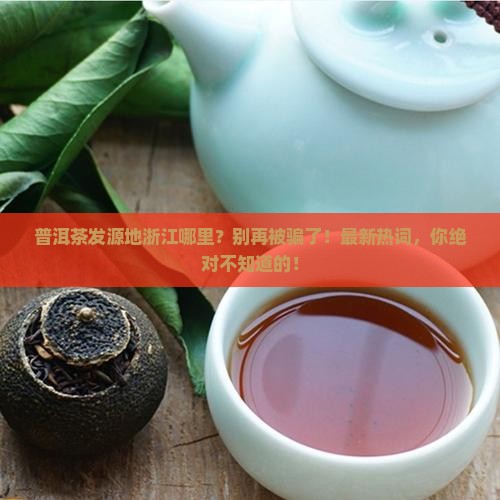 普洱茶发源地浙江哪里