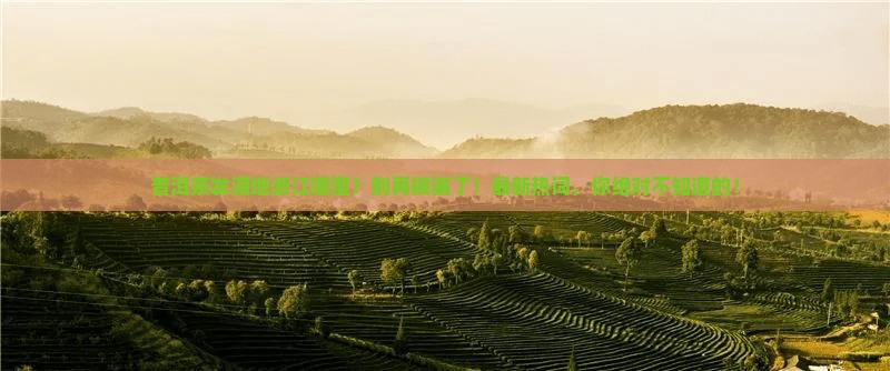 普洱茶发源地浙江哪里