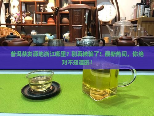 普洱茶发源地浙江哪里