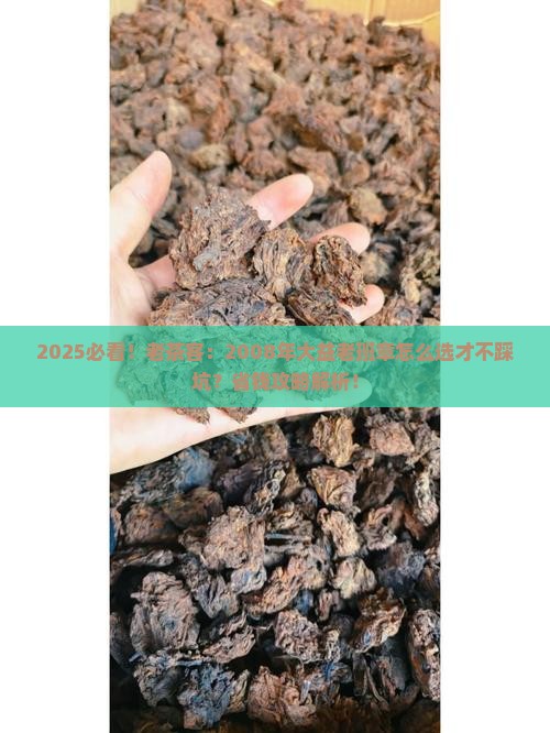2008年大益老班章