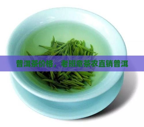 老班章老寨茶农直销