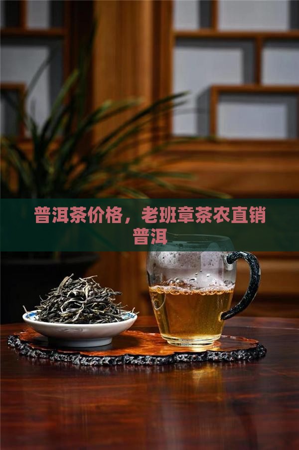 老班章老寨茶农直销