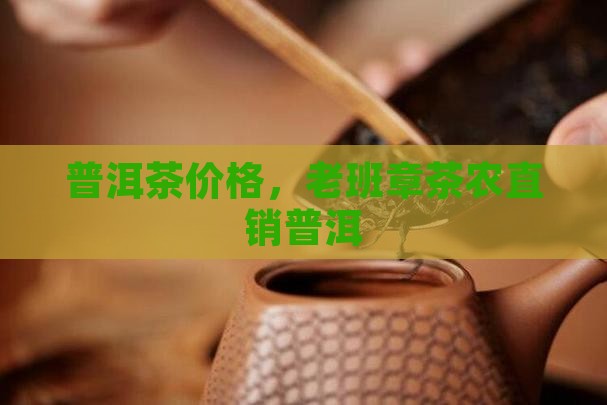 老班章老寨茶农直销