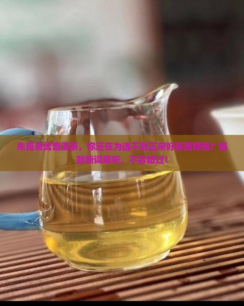 东莞易武普洱茶
