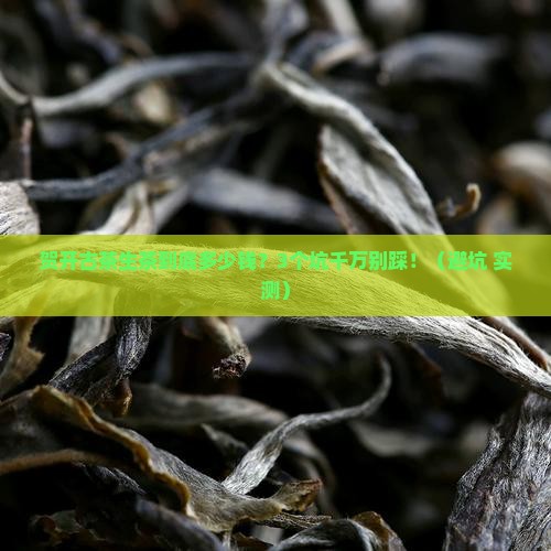 普洱茶贺开古茶生茶价格 普洱茶贺开古茶生茶价格