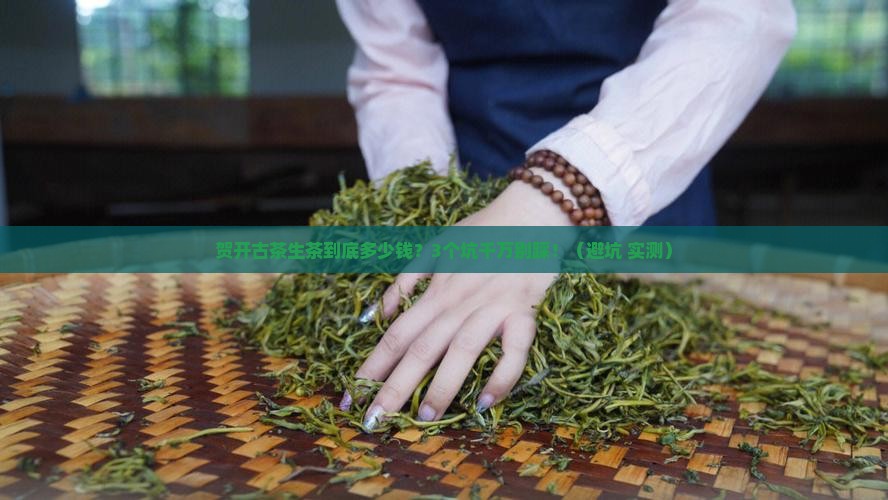 普洱茶贺开古茶生茶价格 普洱茶贺开古茶生茶价格