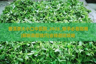 普洱茶大小口中区别