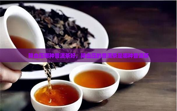 降血压哪种普洱茶