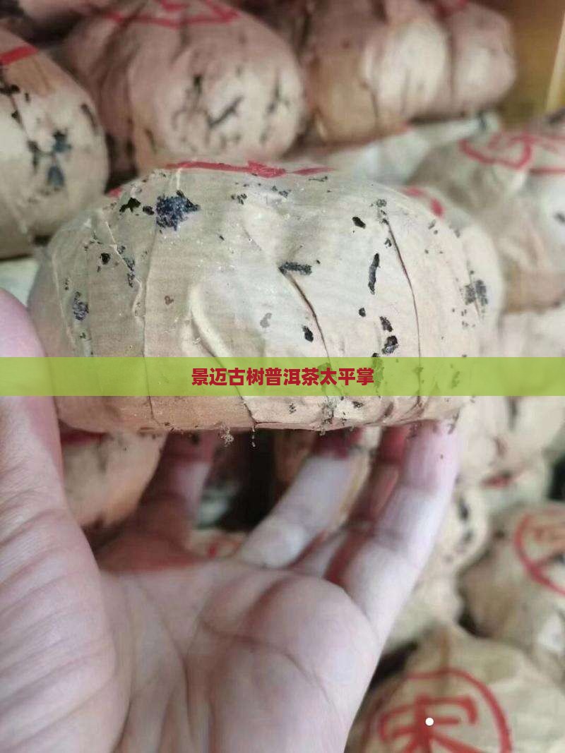 太平掌普洱茶古树