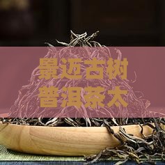 太平掌普洱茶古树