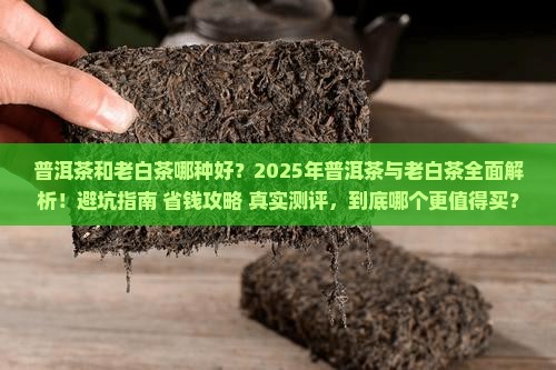 普洱茶和老白茶哪种好些呢