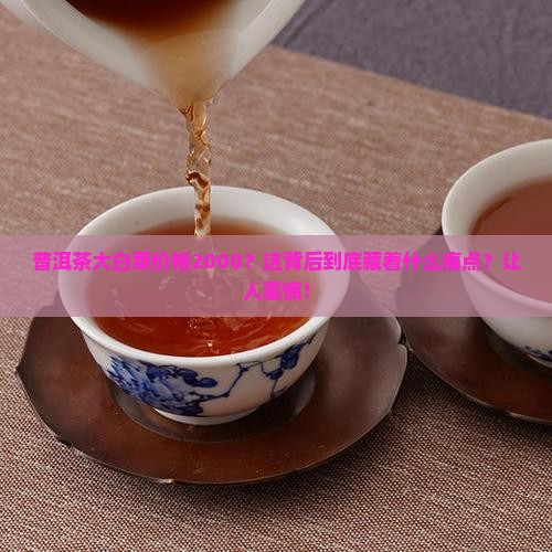 普洱茶大白菜价格2000