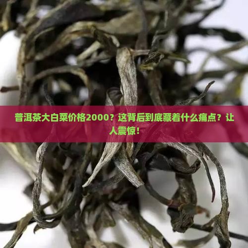 普洱茶大白菜价格2000