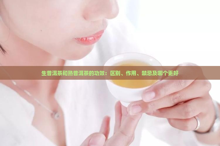 生普洱茶和熟普洱茶的功效