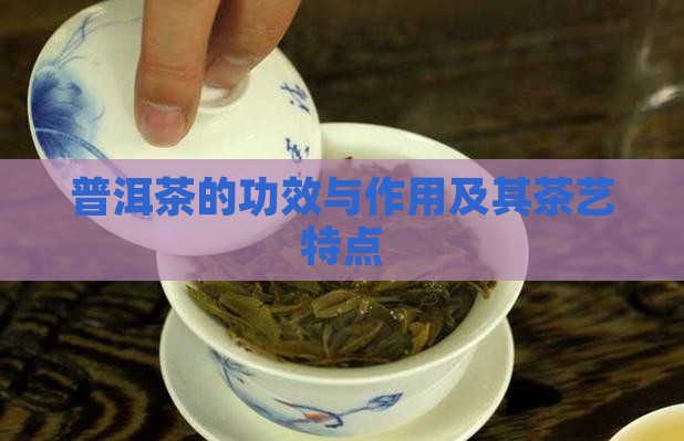普洱茶的茶艺特点和功效