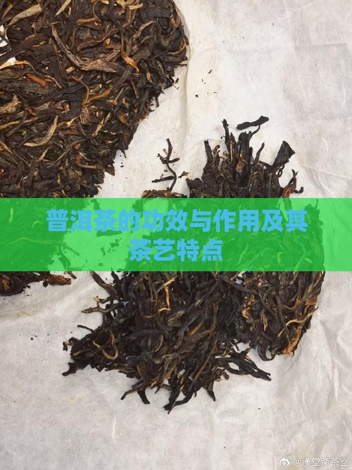 普洱茶的茶艺特点和功效