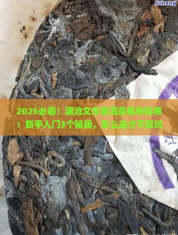 澜沧文东普洱茶
