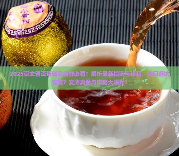 崇文普洱茶新品尝鲜