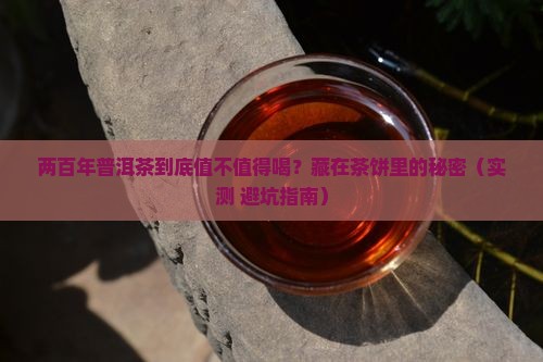 两百年的普洱茶