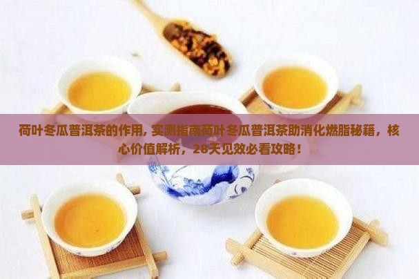 荷叶冬瓜普洱茶的作用