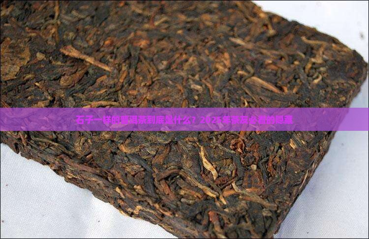 石子一样的普洱茶叫啥 石子一样的普洱茶叫啥