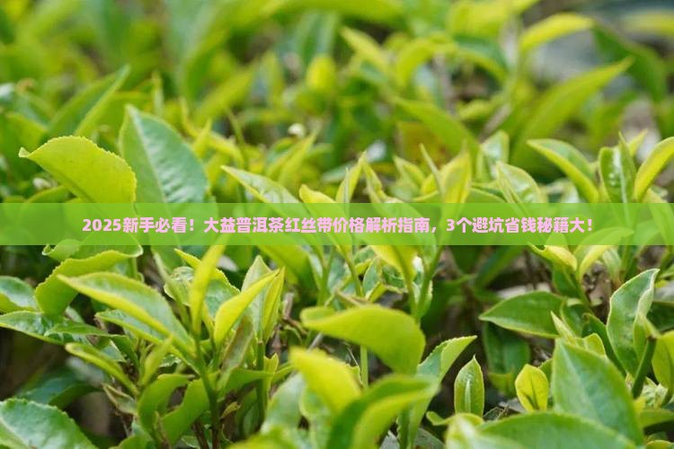 大益普洱茶红丝带价格