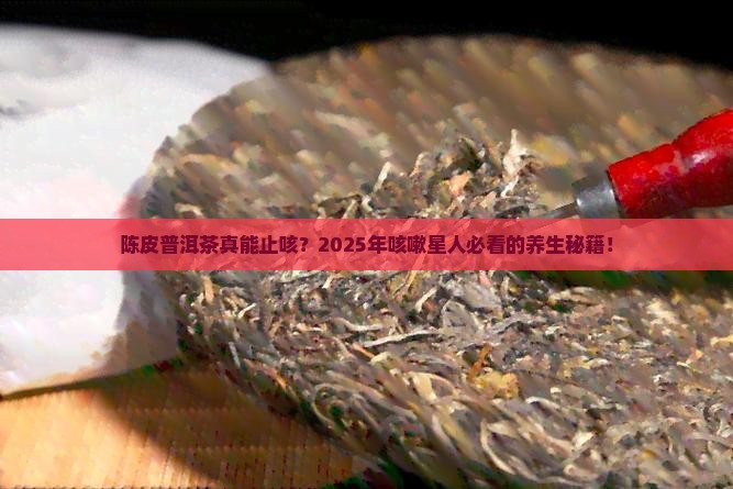 陈皮普洱茶对咳嗽有好处吗