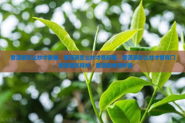 普洱茶怎么炒才香