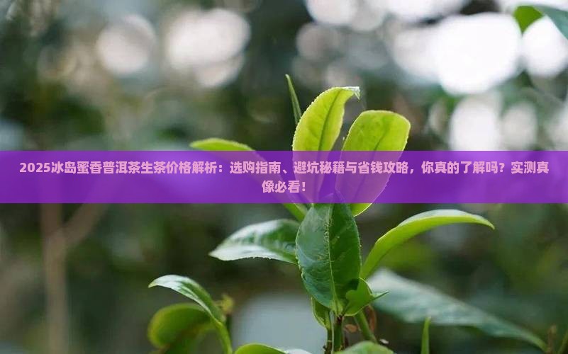 冰岛蜜香普洱茶生茶价格