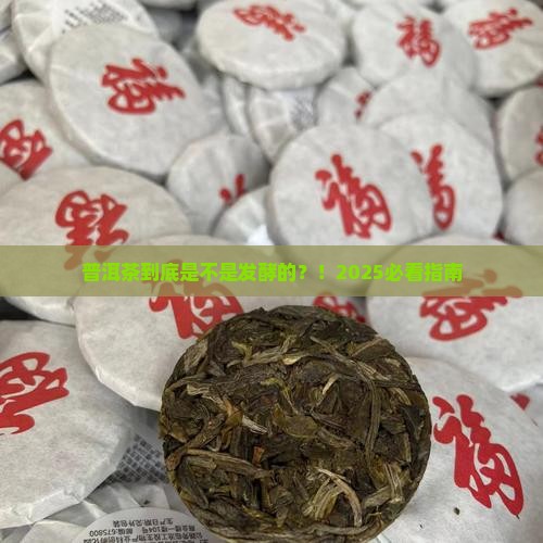 普洱茶是发酵的茶了吗