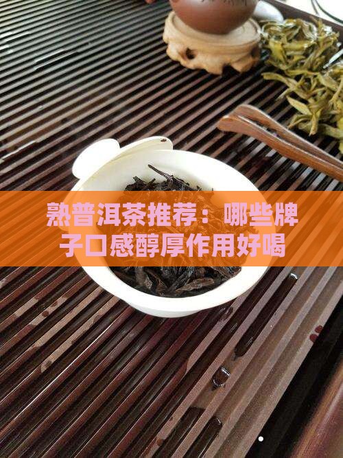 熟普洱茶哪些好喝