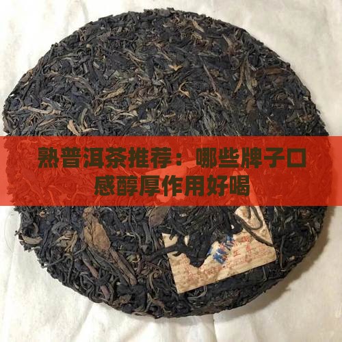 熟普洱茶哪些好喝