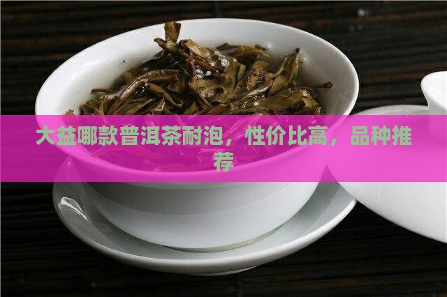 大益哪款普洱茶耐泡